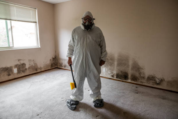 Best Commercial Mold Removal  in New Wilmington, PA